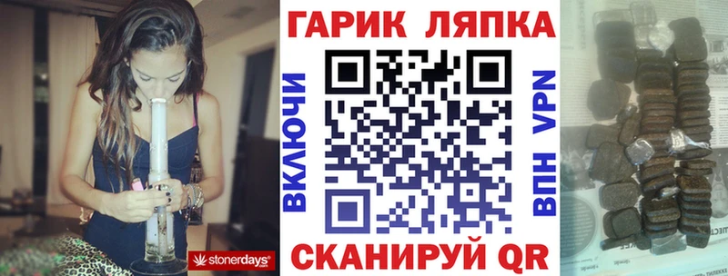blacksprut онион  Терек  Гашиш индика сатива 