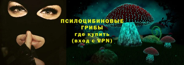 МДПВ Каменногорск