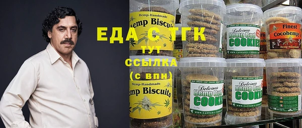 МДПВ Каменка