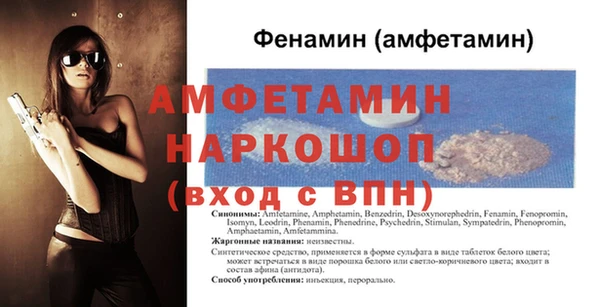 МДПВ Каменка