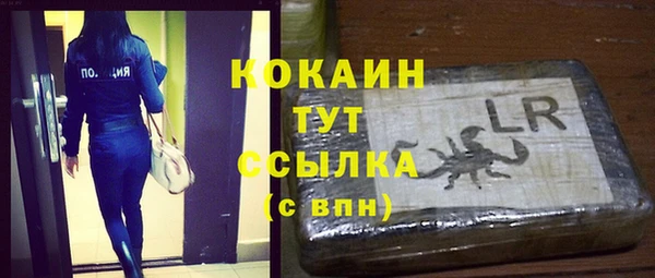 МДПВ Каменка